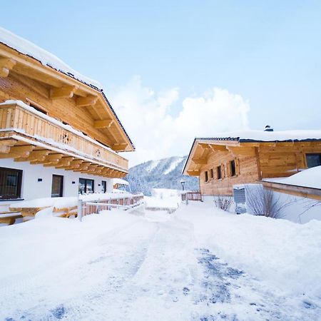 Vila Almdorf Auszeit Fageralm Forstau  Exteriér fotografie