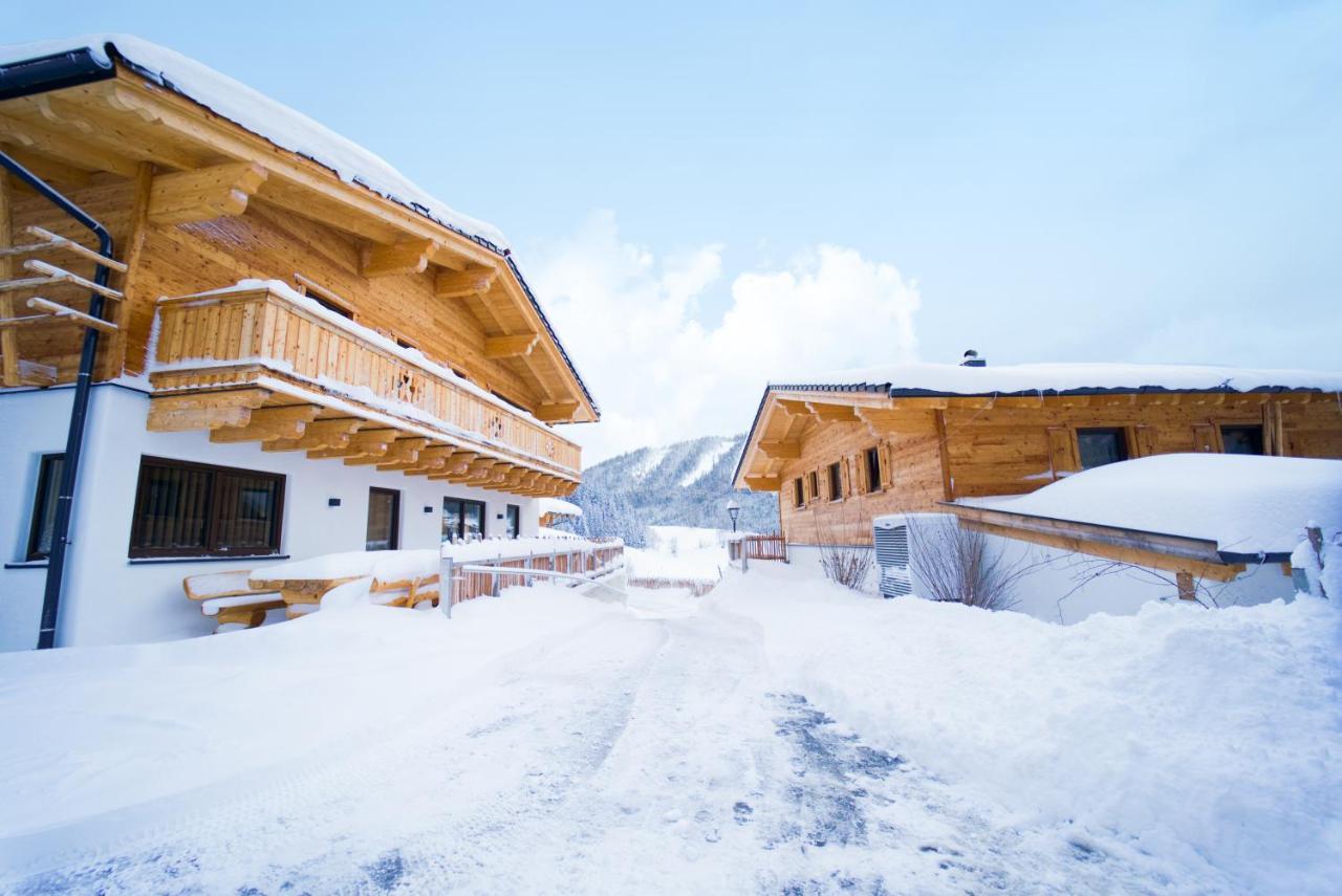 Vila Almdorf Auszeit Fageralm Forstau  Exteriér fotografie